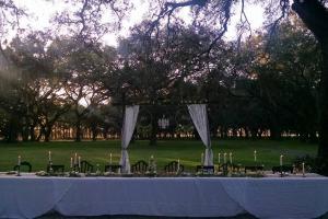 The head table with an arbor for a backdrop.