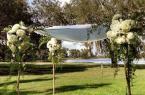 Lovely Canopies Available
